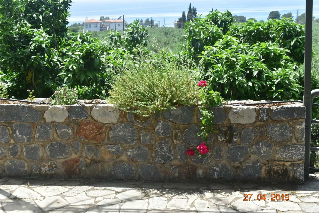Ouranias Studios Kardamyli Exteriér fotografie